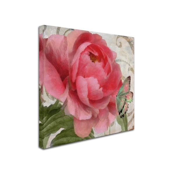 Color Bakery 'Apricot Peonies II' Canvas Art,35x35